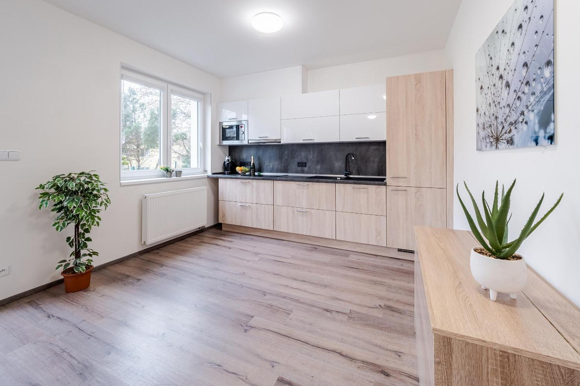 Private Luxury Apartments - Apartman G3 Frymburk Zewnętrze zdjęcie
