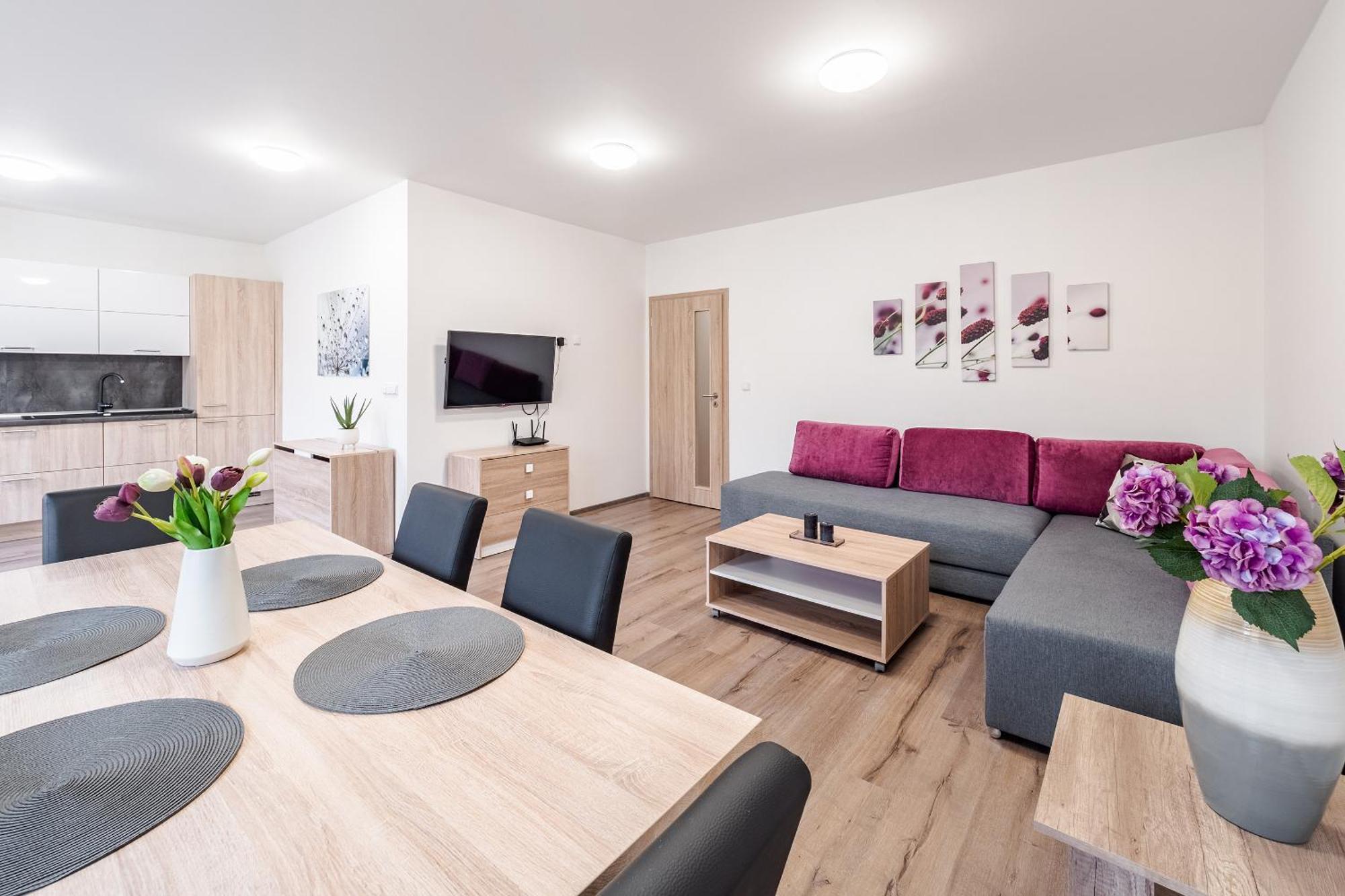 Private Luxury Apartments - Apartman G3 Frymburk Zewnętrze zdjęcie
